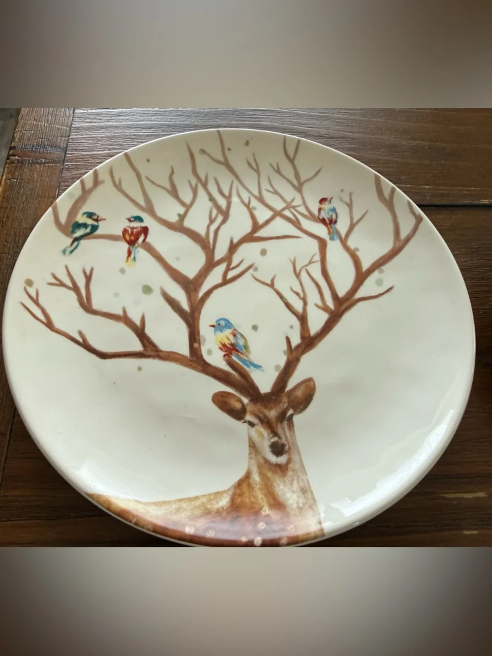 Pier 1 Imports Alexander salad plates